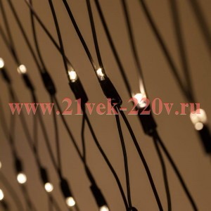 ЭРА ERAPS-SK3 Гирлянда 150LED Сеть 1,5м*2м, теплый белый свет, бел. мерц, черный каучук, 220В, IP65