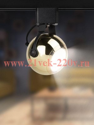 Светильник TR35-GU10 GD 80х130 8760 MR16 GU10 1ф трековый зол. Эра Б0053299