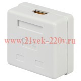 Розетка компьютерная RJ-45 кат.5e неэкран. 2-порта ЭРА Б0056902