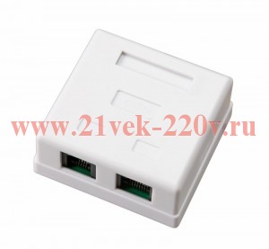 Комбинированная розетка RJ-11+RJ-45 (телефон + компьютер)