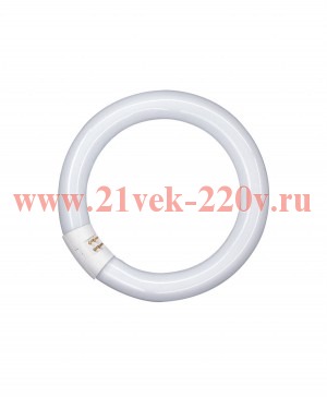 Люминесцентная лампа кольцевая Osram L 22 W/840 C T9 G10q, 216mm