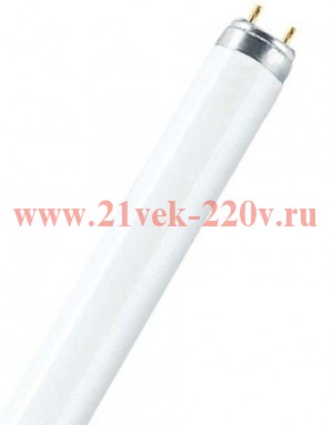 Люминесцентная лампа OSRAM СМ L18W/ 865 PLUS ECO G13 d26x 590 1300lm 6500K