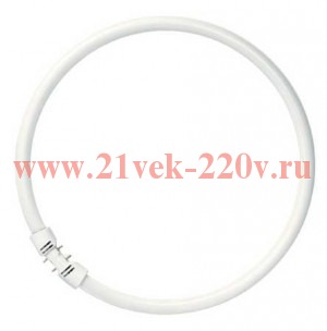 Люминесцентная лампа кольцевая FC 55/840 2GX13 T5 (16mm) d305mm 4000K OSRAM