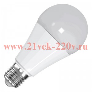 Лампа светодиодная FL-LED-A65 22W 6400К 2020lm 220V E27 d65x133