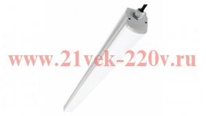 Светильник светодиодный Philips WT035C LED15/NW PSU GC L600 15W 4000K 230V 1500lm IP65 L600х58х56mm