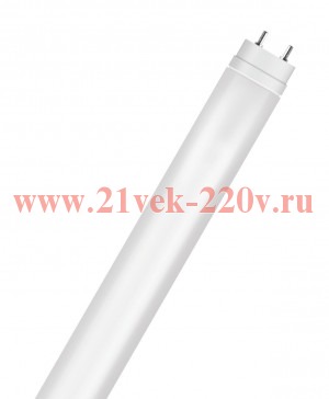 Лампа светодиодная Ecofit LEDtube 600mm 8W/765 T8 800lm RCA I (1стороннее подкл. 220В) PHILIPS