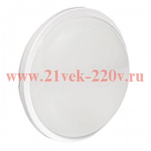 Светильник светодиодный ЖКХ круг ДПО-2012 25Вт 6500К IP65 PROxima EKF BKL-2012-R-25-6500