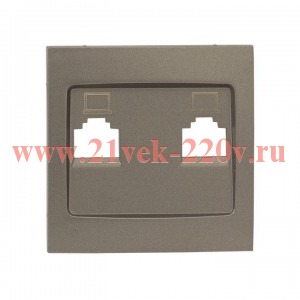 Панель лицевая Валенсия для розетки 2-м RJ-45 кашемир PROxima EKF ESK02-L-035-40