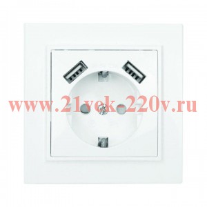 Розетка 1-м СП Минск 16А защ. шторки с заземл. с 2 USB 2.1А бел. EKF ERR16-028-100-2USB