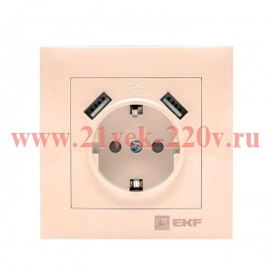 Розетка 1-м СП Валенсия 16А защ. шторки с заземл. с 2 USB 2.1А крем. PROxima EKF EWR16-028-20-2USB