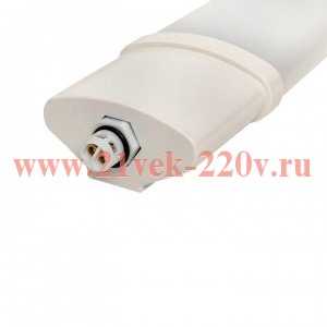 Светильник светодиодный ДСП-1006-L 36Вт 6500К IP65 1200мм пылевлагозащ. PROxima EKF TPL-1006-36-6500