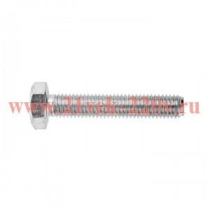 Болт шестигранный М10х40 TDZ (уп.30шт) EKF b6grm10x40-TDZ