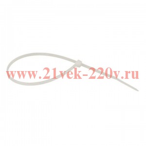 Хомут кабельный 2.5х250 нейл. (уп.100шт) Basic EKF plc-c-2.5x250