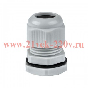 Сальник PG16 IP54 d отв. 21мм/d провод. 10-14мм PROxima EKF plc-pg-16-r