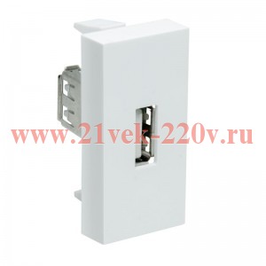 Розетка модульная USB 45х22.5мм бел. Ruvinil АДЛ 13-907