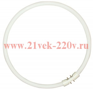 Люминесцентная лампа кольцевая Sylvania CIRCLINE PLUS 55/ 830 2GX13 T5 (16mm) d 300mm 3000K