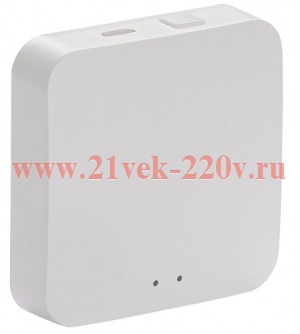 Шлюз iTEQ SMART-HUB WiFi+ZigBee USB бел. ONI IT-HWZ-K01