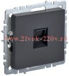 Розетка компьютерная СП RJ45 кат.5E BRITE РК10-БрГ графит IEK BR-K10-1-K53