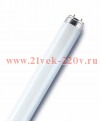 Люминесцентная лампа T8 Osram L 36 W 865 LUMILUX RUS G13, 26x1200mm СМ