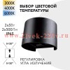 Светильник FL-LED WallBarrel-UD006R 2x5W-UP/DN 0-120° CCT-3000K+4000K+6000K 140x120x100 BK IP65 наст