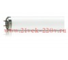 Лампа в ловушки для насекомых TL 60W/10-R G13 d40,5 x 1200mm 350-400нм (полимеризация)