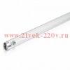 Лампа бактерицидная TUV 15W T8 G13 d26x438mm (UVC бактерицидная без озона) PHILIPS