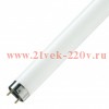 Лампа ультрафиолетовая в ловушки для насекомых ЛCТ 18/20W (UV-A/BL368) Т8 G13 589.8mm Формула СВЕТА