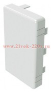 Заглушка LAN 120x60 для кабель-канала DKC In-liner