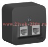 Розетка 2-ая компьютерная RJ45 кат.5E Blanca Schneider Electric антрацит изол.пластина