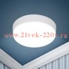 Светильник светодиодный LED 15-24-6K 24Вт 6500К накладной круглый ЭРА Б0054335