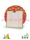 Фитопрожектор светодиодный для растений FITO-80W-LED-QB Quantum board Эра Б0053285